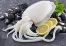 Con mực số mấy? Khám phá điềm báo lành dữ từ giấc mơ thấy mực