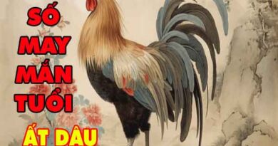 Cặp số đẹp may mắn tuổi Ất Dậu ngày 2/3/2025 chủ nhật hôm nay
