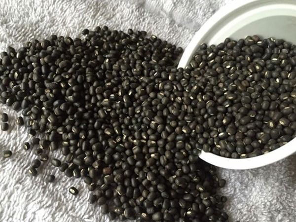 Giải mã gặp hạt đậu đen trên đường có con số nào may mắn?
