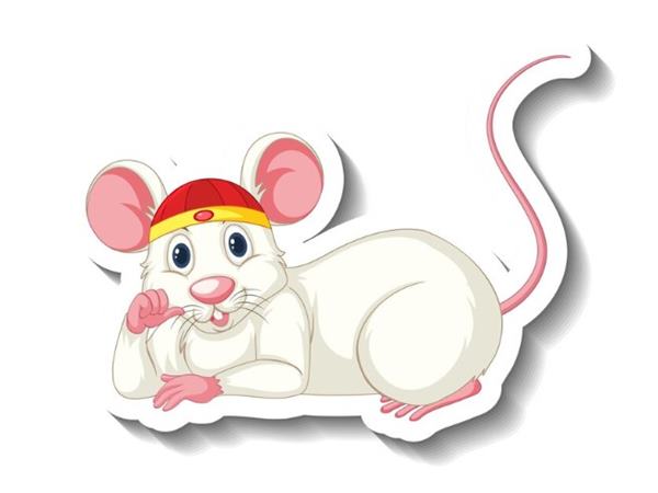 Con số tài lộc tuổi Tý ngày 5/3/2025 may mắn giàu sang