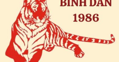Liệu số tài lộc tuổi Bính Dần 6/3/2025 có mang vận may?