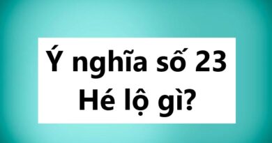 Ý nghĩa số 23 hé lộ gì?