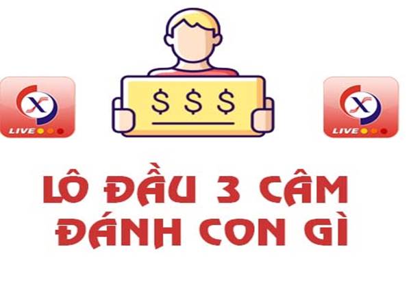 Lô đầu 3 câm mai đánh con gì? Gợi ý con số đẹp sáng giá 2