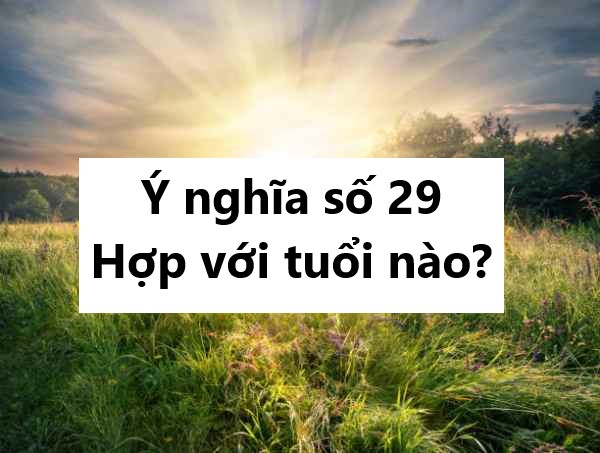 Ý nghĩa số 29 hợp với tuổi nào?