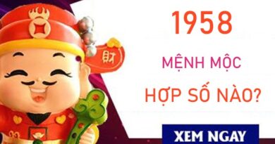 Mệnh Mộc 1958 hợp số nào tìm thấy cơ hội vàng?