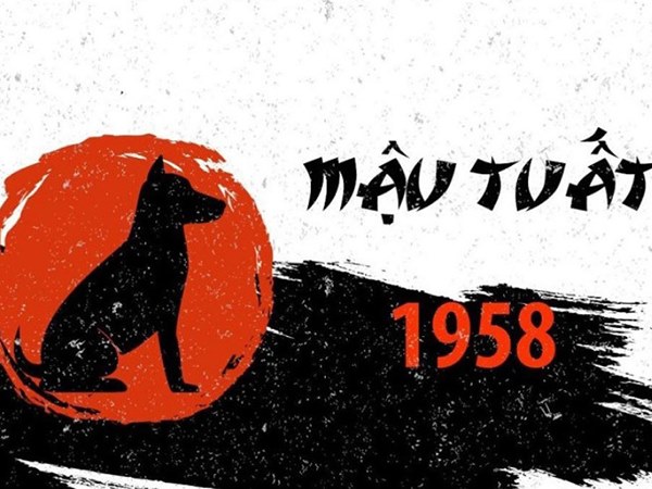 Mệnh Mộc 1958 hợp số nào tìm thấy cơ hội vàng?