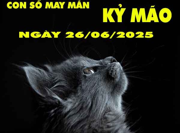 Con số may mắn tuổi Kỷ Mão ngày 26/6/2025 thứ 5 hôm nay