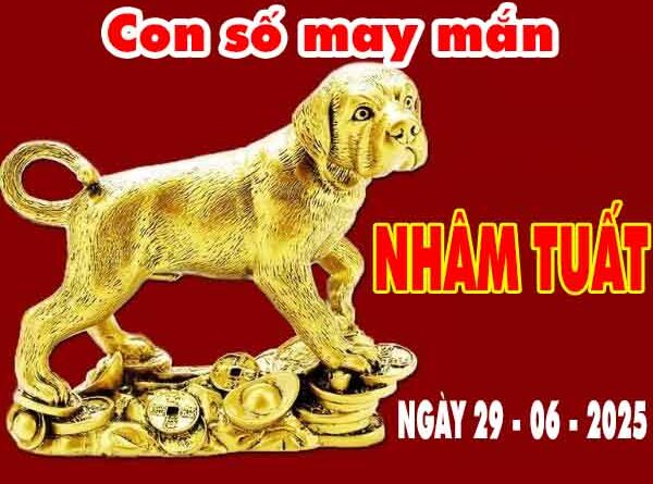 Cặp số đẹp may mắn tuổi Nhâm Tuất ngày 29/6/2025 chủ nhật hôm nay