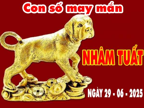 Cặp số đẹp may mắn tuổi Nhâm Tuất ngày 29/6/2025 chủ nhật hôm nay