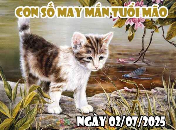 Cặp số đẹp may mắn tuổi Mão ngày 2/7/2025 thứ 4 hôm nay