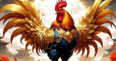 Tử vi tuổi Dậu ngày 17/7/2025 con số tài lộc tuổi Dậu