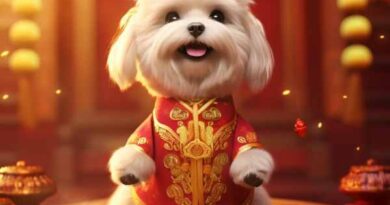 Tổng quan tử vi tuổi Tuất ngày 18/7/2025