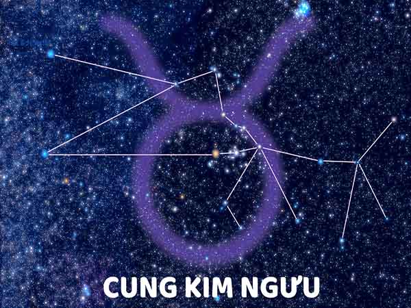 Vài nét về tử vi cung Kim Ngưu hôm nay ngày 17/7/2025 thứ 5