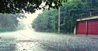 Nằm mơ thấy mưa đem đến thông điệp gì thú vị?