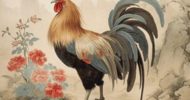 Gợi ý con số may mắn tuổi Dậu 13/10/2025 đổi vận tài lộc