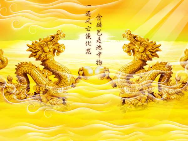 Luận con số may mắn