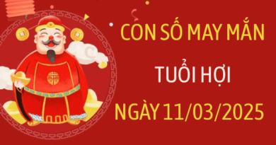 Giải mã con số may mắn tuổi Hợi ngày 11/3/2026 siêu chuẩn