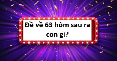 Đề về 63 hôm sau đánh con gì?