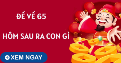 Tham khảo xu hướng đề về 65 hôm sau về con gì tăng cơ hội trúng giải độc đắc?