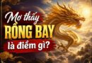 Ý nghĩa chung giấc mơ thấy rồng bay là điềm gì