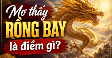 Ý nghĩa chung giấc mơ thấy rồng bay là điềm gì