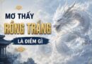 Giải mã nằm mơ thấy rồng trắng là điềm gì? Phúc hay họa?