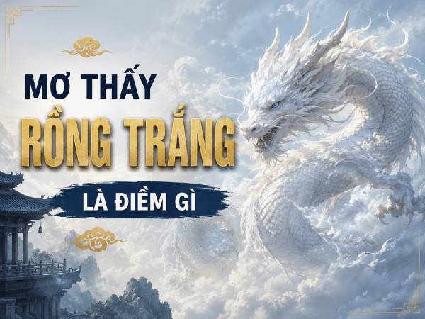 Giải mã nằm mơ thấy rồng trắng là điềm gì? Phúc hay họa?