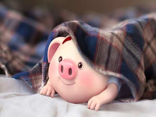 Con heo có ý nghĩa gì trong dân gian và phong thủy?