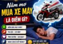 Chuyên gia giải đáp nằm mơ mua xe máy là điềm gì rõ nhất Chuyên gia giải đáp nằm mơ mua xe máy là điềm gì rõ nhất