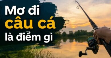 Nằm mơ đi câu cá là điềm gì, báo hiệu phúc hay họa?