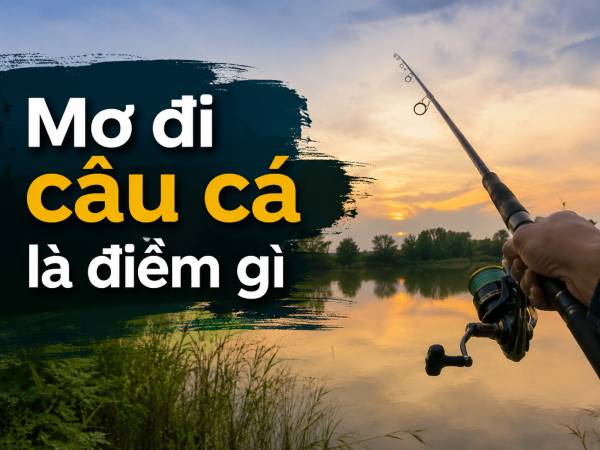 Nằm mơ đi câu cá là điềm gì, báo hiệu phúc hay họa?