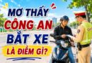 Bí ẩn mơ thấy công an bắt xe là điềm gì để rước tài lộc
