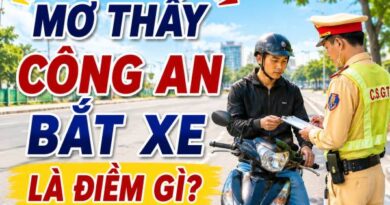 Bí ẩn mơ thấy công an bắt xe là điềm gì để rước tài lộc Bí ẩn mơ thấy công an bắt xe là điềm gì để rước tài lộc