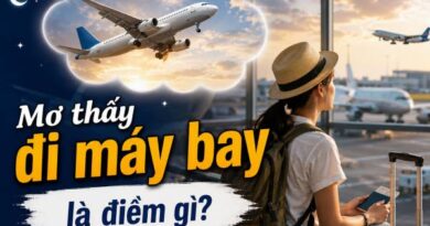 Mơ thấy đi máy bay là điềm gì? Tin vui hay thử thách mới