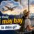 Mơ thấy đi máy bay là điềm gì? Tin vui hay thử thách mới