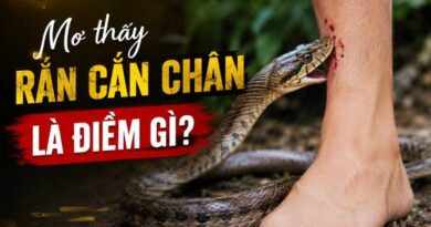 Sự thật nằm mơ thấy rắn cắn chân là điềm gì ai cũng sợ? Nằm mơ thấy rắn cắn chân là điềm gì dưới góc nhìn phong thủy?
