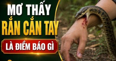 Hé lộ mơ thấy rắn cắn tay là điềm báo gì sắp xảy đến? Hé lộ mơ thấy rắn cắn tay là điềm báo gì sắp xảy đến?