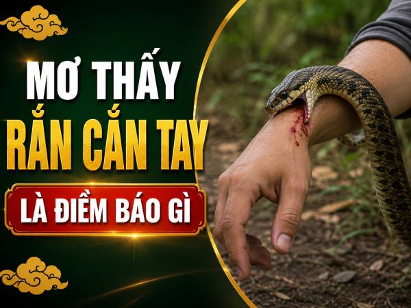 Hé lộ mơ thấy rắn cắn tay là điềm báo gì sắp xảy đến?