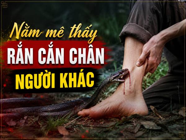 Mộng thấy rắn cắn chân người khác