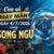 Luận giải con số may mắn ngày 4/7/2026 cung Song Ngư