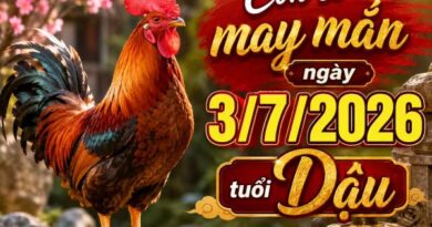 Bật mí con số may mắn ngày 3/7/2026 tuổi Dậu dễ đón lộc