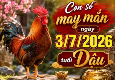 Bật mí con số may mắn ngày 3/7/2026 tuổi Dậu dễ đón lộc