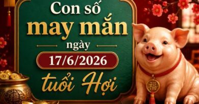 Luận giải những con số may mắn ngày 17/6/2026 tuổi Hợi