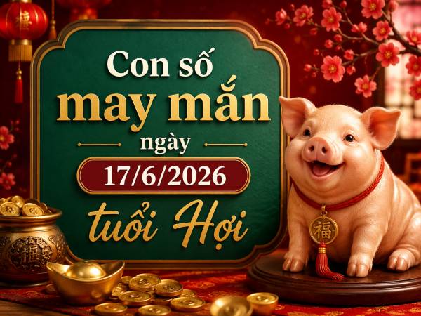 Luận giải những con số may mắn ngày 17/6/2026 tuổi Hợi