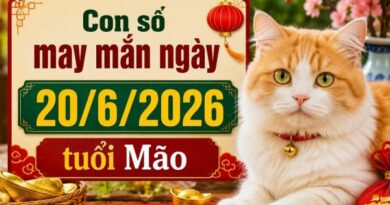Hé lộ con số may mắn ngày 20/6/2026 tuổi Mão phát tài