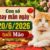 Hé lộ con số may mắn ngày 20/6/2026 tuổi Mão phát tài