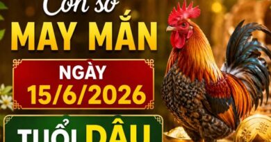 Gợi ý con số may mắn ngày 15/6/2026 tuổi Dậu hút lộc