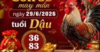 Luận giải con số may mắn ngày 29/6/2026 tuổi Dậu cực vượng khí