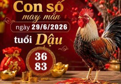 Luận giải con số may mắn ngày 29/6/2026 tuổi Dậu cực vượng khí