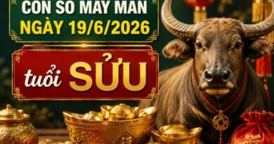 Luận giải con số may mắn ngày 19/6/2026 tuổi Sửu theo từng năm sinh